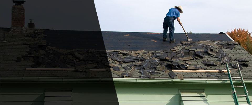 White Bird Roofing Contractors