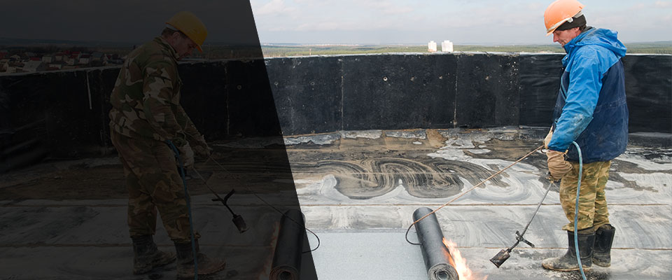 White Bird Roofing Contractors
