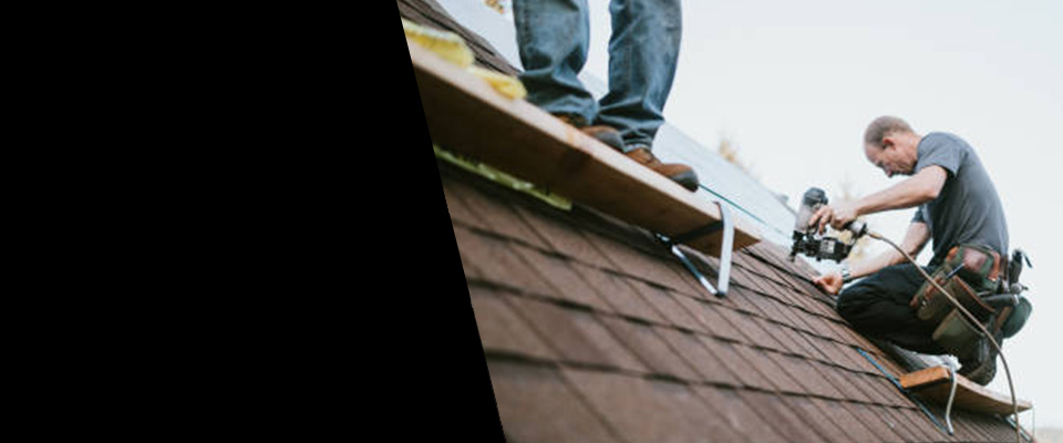 White Bird Roofing Contractors